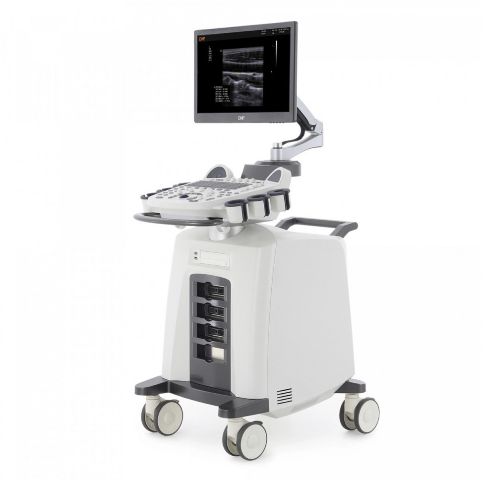 УЗИ СКАНЕР MED-MOS ЕМР3000 (4 датчика: линейный,конвексный,фазированный,внутриполосной) УЗИ СКАНЕР MED-MOS ЕМР3000 (4 датчика: линейный,конвексный,фазированный,внутриполосной)
